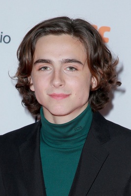 Timothee Chalamet puzzle 2882000