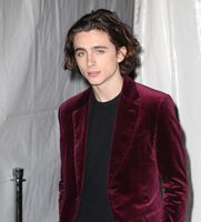 Timothee Chalamet hoodie #2923317