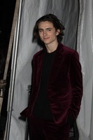 Timothee Chalamet hoodie #2923319