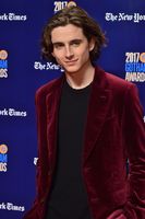 Timothee Chalamet Sweatshirt #2923333