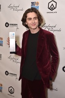Timothee Chalamet t-shirt #2923348