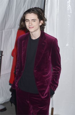 Timothee Chalamet stickers 2923351
