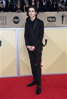 Timothee Chalamet t-shirt #3033143