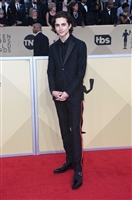 Timothee Chalamet Tank Top #3033156
