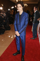 Timothee Chalamet Sweatshirt #3052133