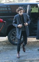 Timothee Chalamet hoodie #3052200
