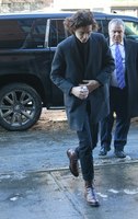 Timothee Chalamet hoodie #3052258