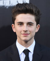 Timothee Chalamet Longsleeve T-shirt #3052321