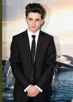 Timothee Chalamet Longsleeve T-shirt #3052406