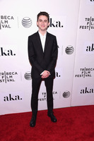 Timothee Chalamet Longsleeve T-shirt #3052415