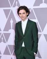 Timothee Chalamet Sweatshirt #3052467