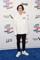 Timothee Chalamet t-shirt #3130046