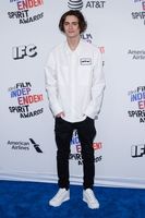 Timothee Chalamet Tank Top #3130137