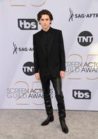 Timothee Chalamet Sweatshirt #3814345