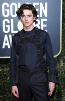 Timothee Chalamet t-shirt #3814378