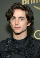 Timothee Chalamet t-shirt #3814387