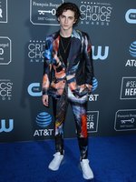 Timothee Chalamet Sweatshirt #3814391