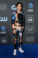 Timothee Chalamet Sweatshirt #3814392