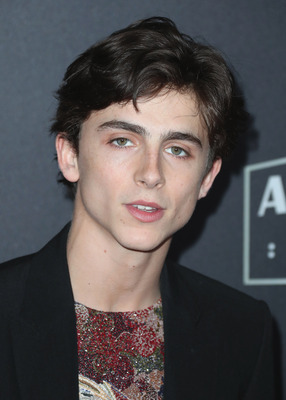 Timothee Chalamet posters