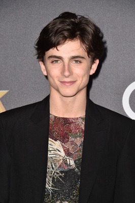 Timothee Chalamet posters