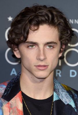 Timothee Chalamet posters
