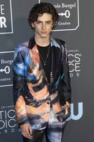 Timothee Chalamet mug #G2431809