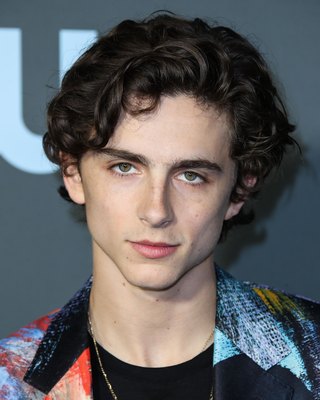 Timothee Chalamet posters