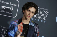 Timothee Chalamet mug #G2431813