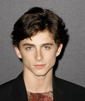 Timothee Chalamet posters