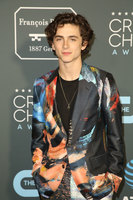 Timothee Chalamet longsleeve t-shirt #3814561