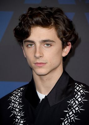 Timothee Chalamet posters