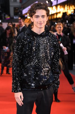 Timothee Chalamet posters