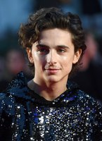 Timothee Chalamet Sweatshirt #3901088