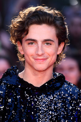 Timothee Chalamet posters