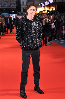 Timothee Chalamet posters