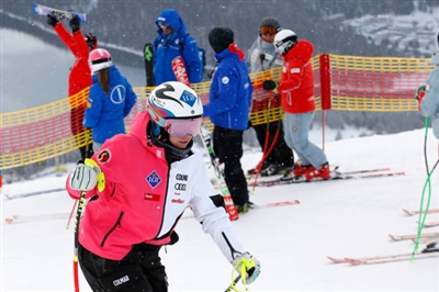 Tina Weirather posters