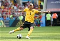 Toby Alderweireld longsleeve t-shirt #3356952