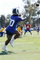 Todd Gurley mug #G1709083
