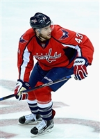 Tom Wilson Sweatshirt #3560564