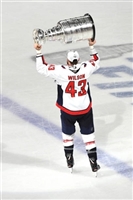 Tom Wilson Sweatshirt #3560656
