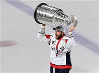 Tom Wilson Sweatshirt #3560775