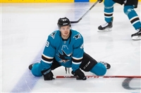 Tomas Hertl Sweatshirt #3563572
