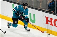 Tomas Hertl Sweatshirt #3563582