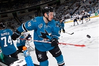 Tomas Hertl Sweatshirt #3563585
