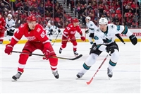 Tomas Hertl mug #G1805827