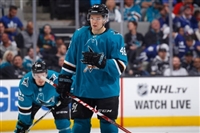 Tomas Hertl Sweatshirt #3563614