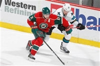 Tomas Hertl Sweatshirt #3563630