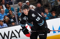Tomas Hertl Sweatshirt #3563634