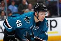 Tomas Hertl Longsleeve T-shirt #3563683