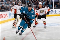 Tomas Hertl Sweatshirt #3563684